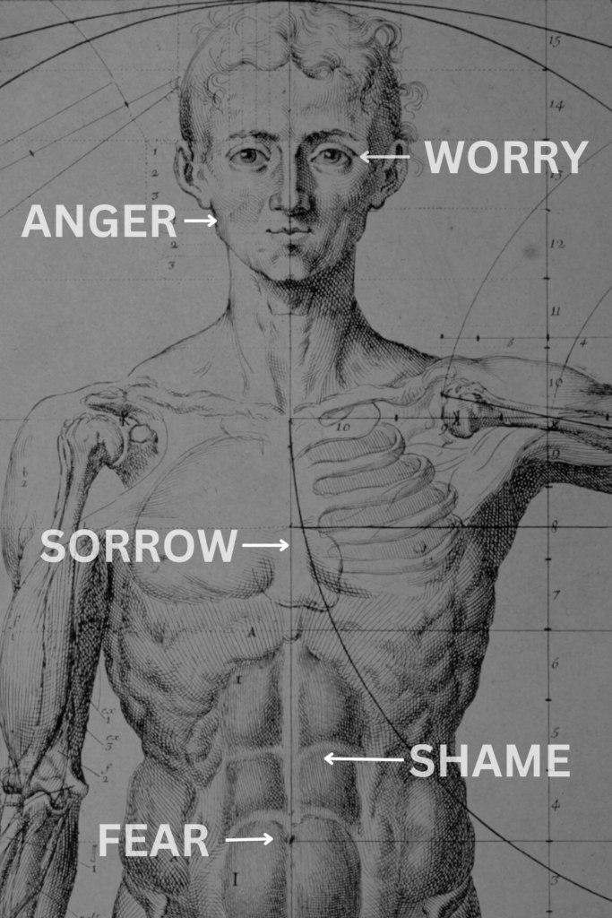 EMDR EMDR Trauma Therapy