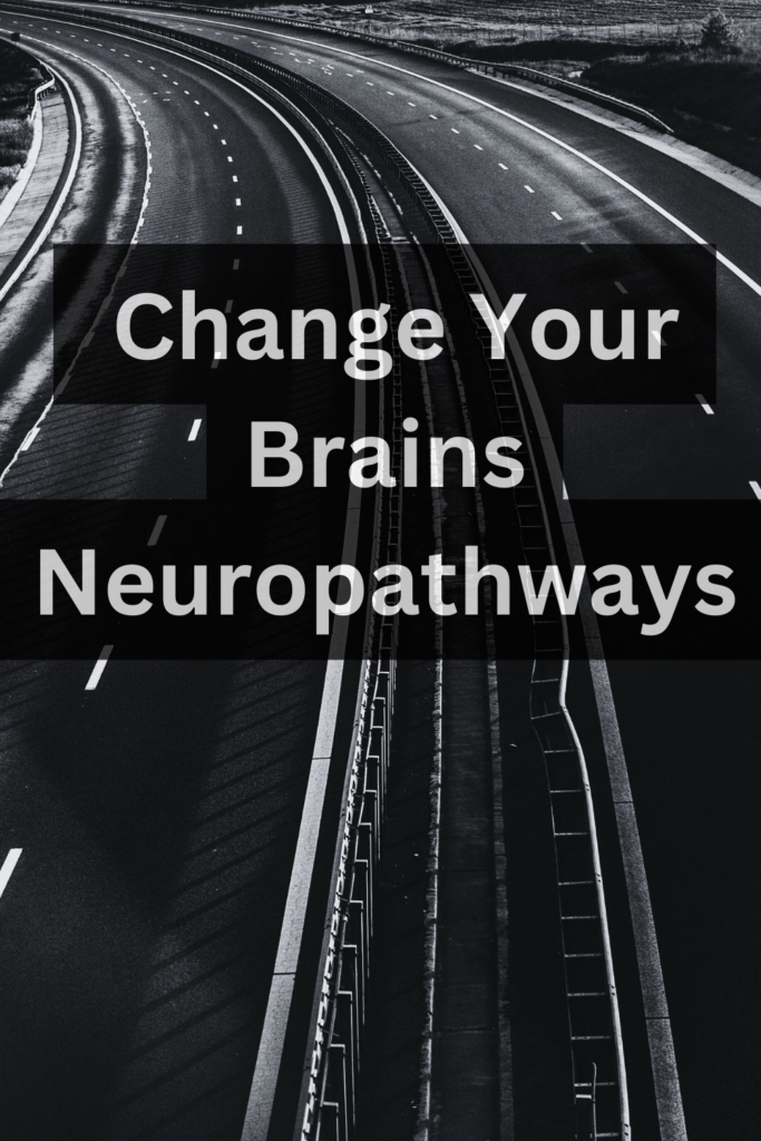 neuroplasticity exercises